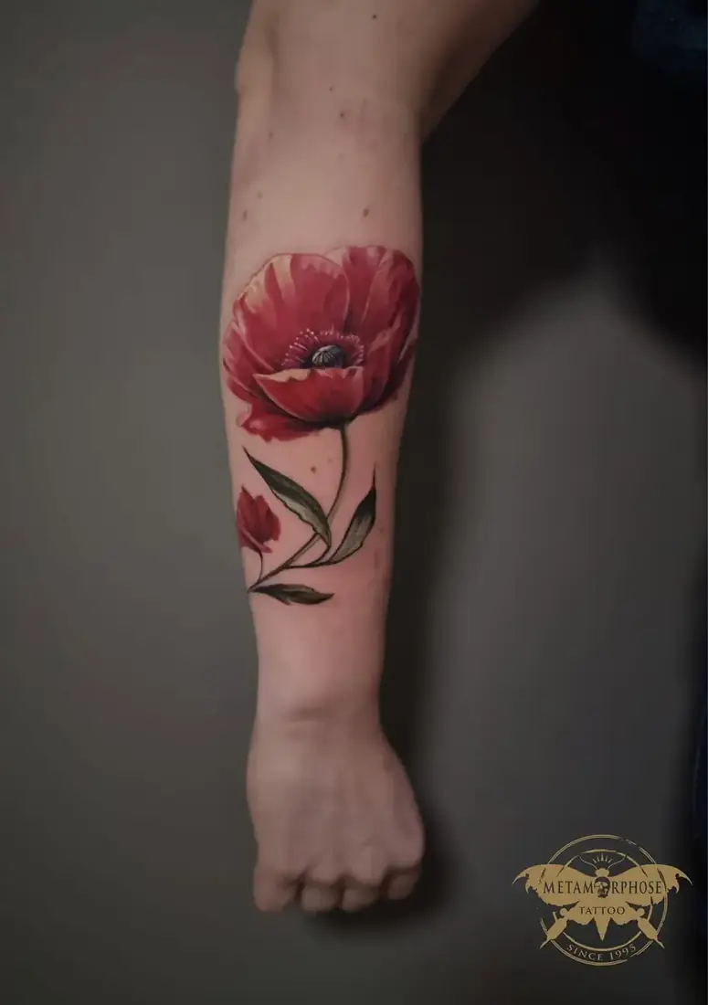 Tatouage coquelicot rouge réaliste sur l'avant-bras par Mich