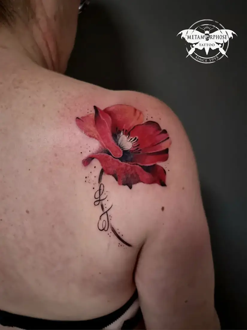 Tatouage coquelicot rouge sur l'omoplate par Mich