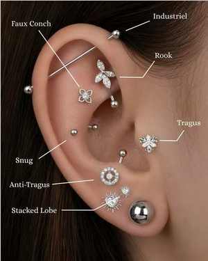 Guide des emplacements de piercings d'oreille en argent : industriel, rook, faux conch, tragus, snug, anti-tragus, stacked lobe