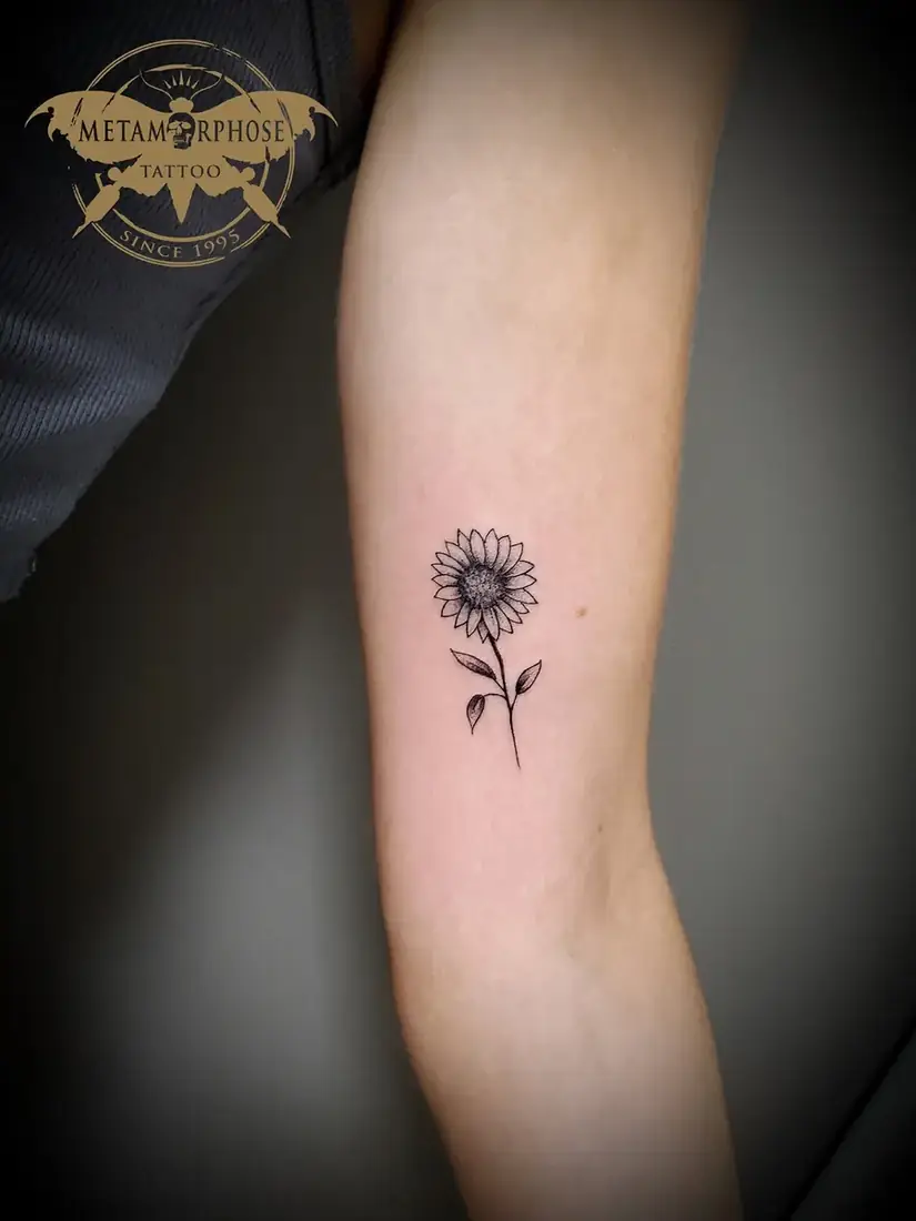 Tatouage petit tournesol fine line sur le bras par Mich