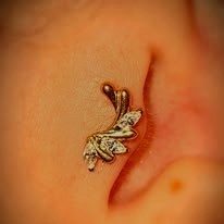 Piercing hélix bijou papillon doré serti