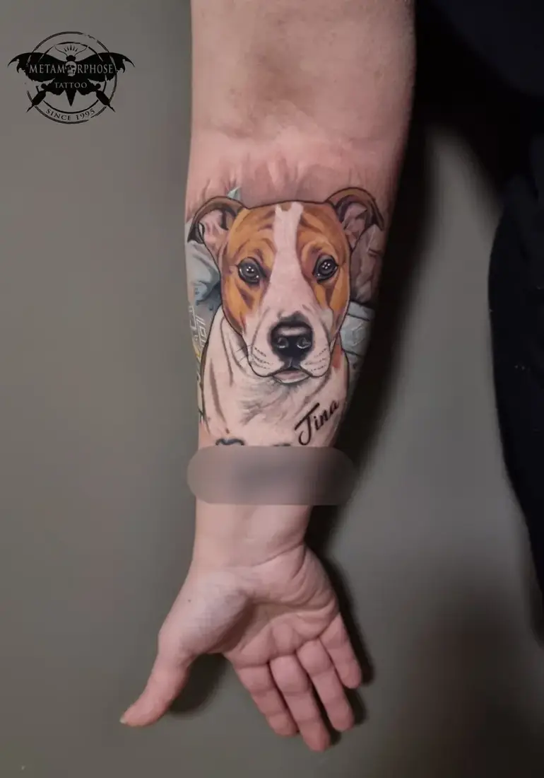 Tatouage portrait de chien couleur sur l'avant-bras par Mich
