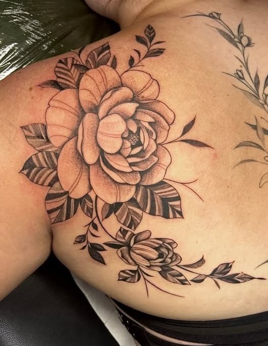 Tatouage rose et bouton de rose fine line sur l'omoplate par Flo