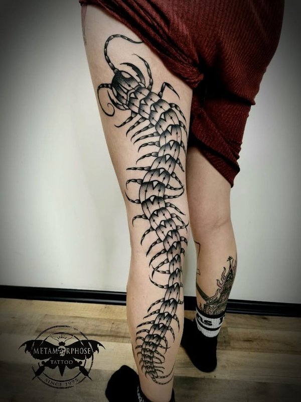 Tatouage scolopendre sur la jambe entière par Mich