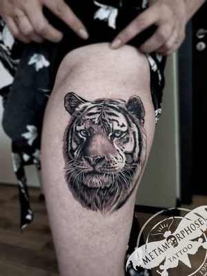 Tatouage tigre réaliste sur la jambe par Mich